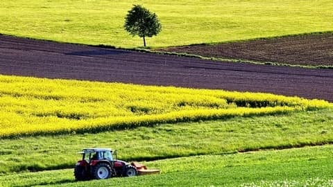 Berufsporträt Fachkraft Agrarservice*