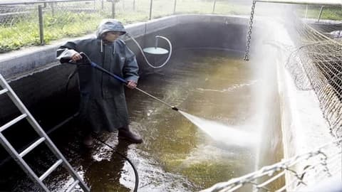 Berufsporträt Fischwirt (Aquakultur und Binnenfischerei)*