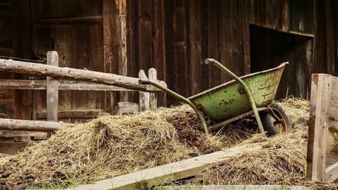 Berufsporträt Landwirt*